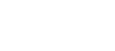 Dice Data